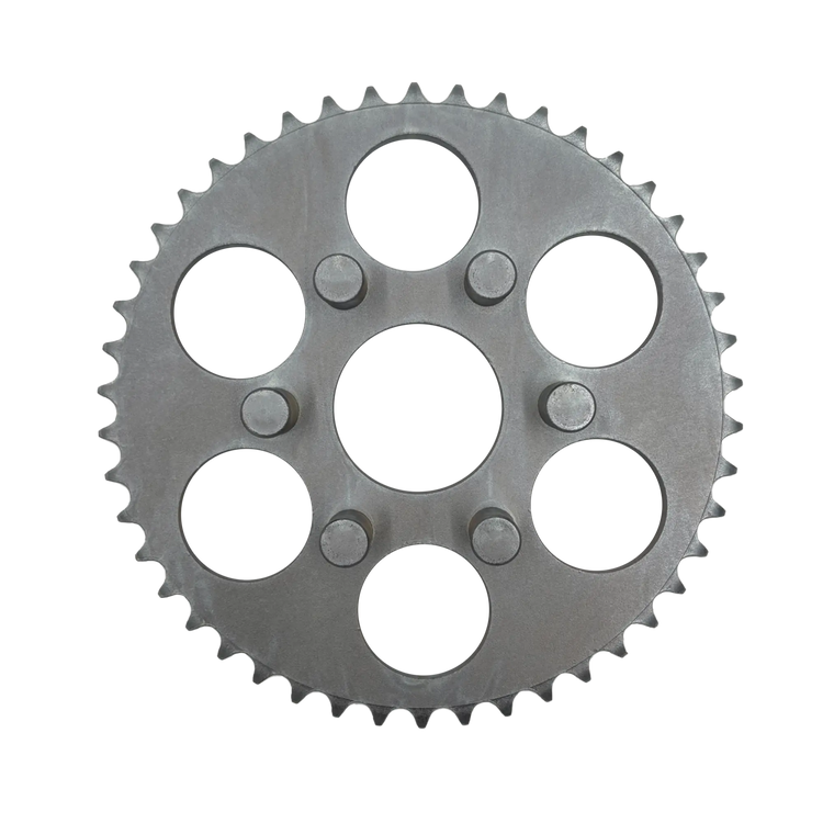 CORONA 2010 - 46